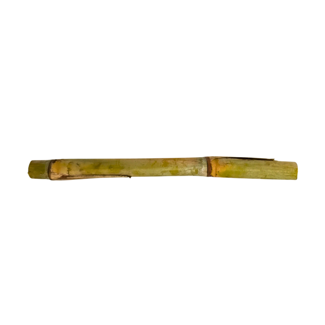 Canna da zucchero - 1 kg