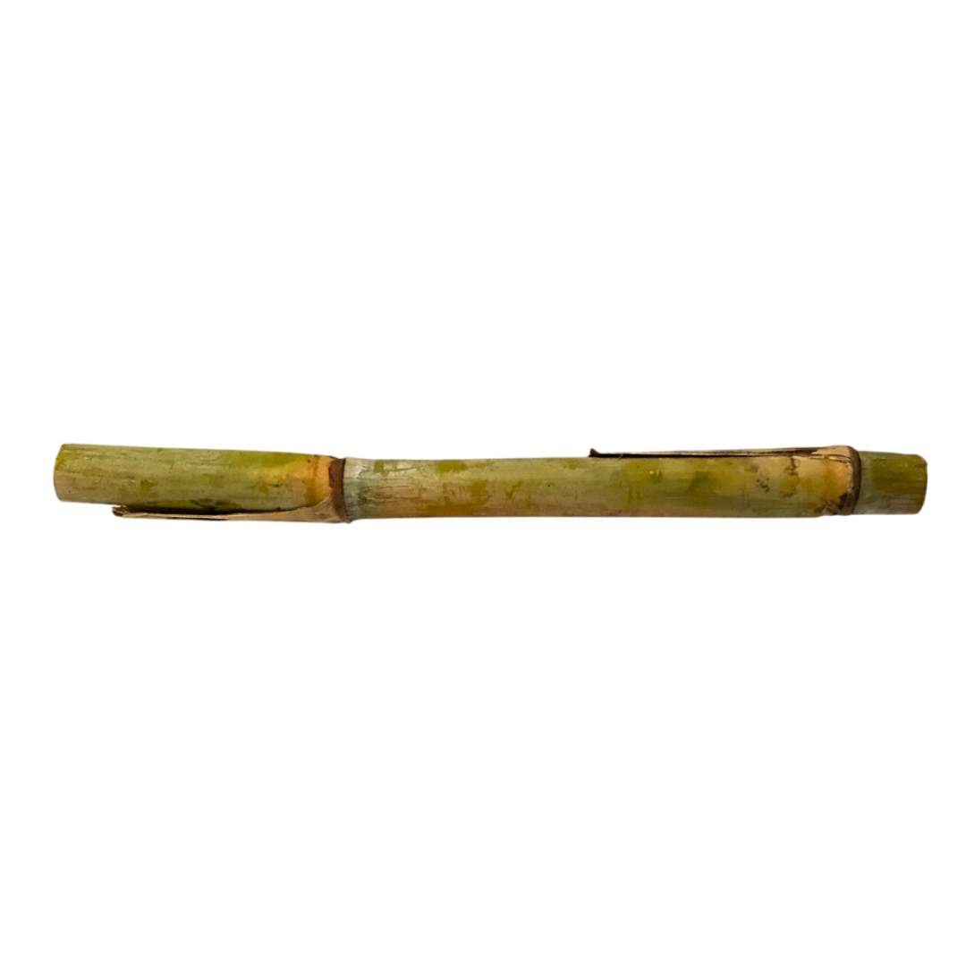 Canna da zucchero - 1 kg