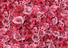 🌹 Workshop: Creazione di Cuscini di Petali di Rosa