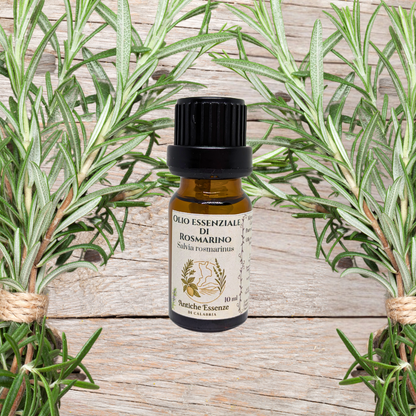 Olio Essenziale di Rosmarino - 10ml