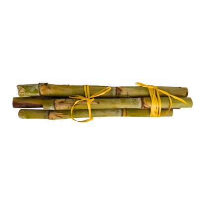 Canna da zucchero - 1 kg