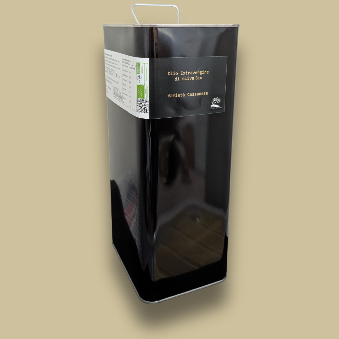 Olio Extravergine di Oliva Cassanese – Fruttato Intenso | Dalle Piante Secolari del Pollino