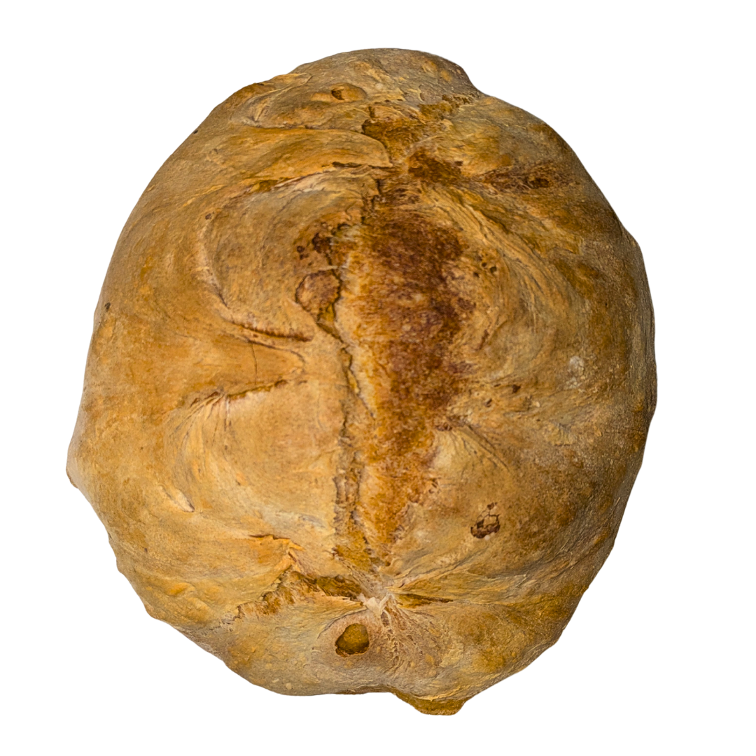 Pane di Cerchiara artigianale con lievito madre cotto nel forno a legna - 1 Kg